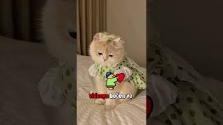 Bu Kasli Kadin Sizce Ne Yapmış Olabi̇li̇r