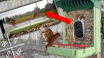 Smart Bird Feeder w/ Camera - Unboxing & Review