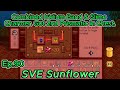 Stardew Valley Sunflower Ep90 Y2 Fall- 11-12:Combined Rings. Got 2nd Prismatic in Chest at the Forge