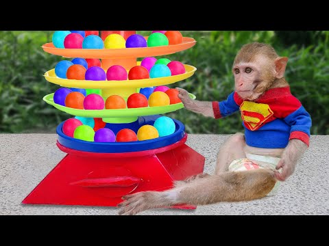 Baby Monkey Bin Bin Goes garbage By Rainbow Gumballs And Eats Fruit With Puppies In Garden