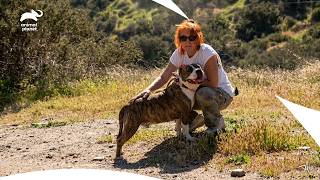 Dog Adoption Gone Wrong?  | Pitbull & Parolees S3 Ep5