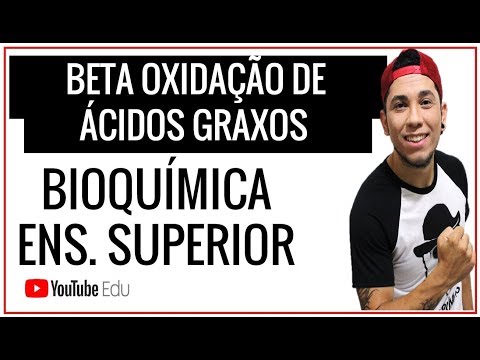 Vídeo: Diferença Entre Acetil CoA E Acil CoA