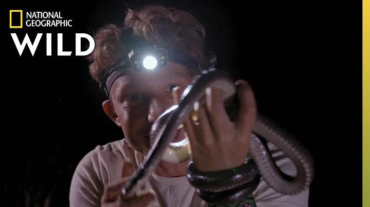 A Snake Encounter Gone Wrong | Out There With Jack...