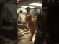 Bizim kedi Hamburger Sipariş verirse 😂 #kedi #cat #shorts