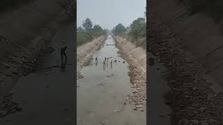 Joyful Fishing Adventures: Kids Explore the Water Canals of Korba City, Chhattisgarh, India. #fish