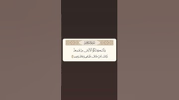 تلاوه جميله جدا القارئ #سعود_الشريم #quran #قران #قران_كريم