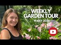 Weekly garden tour 19 may 2024