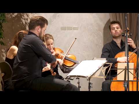 Mozart Trailer Tour Armida Quartett Sabine Meyer 2020