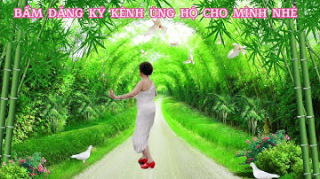 CÂY TRÚC XINH/ CHA CHA NGHE LÀ MÊ ĐẸP - DỄ HỌC- MỚI: PHÙ HỢP VỚI MỌI LỨA TUỔI.
