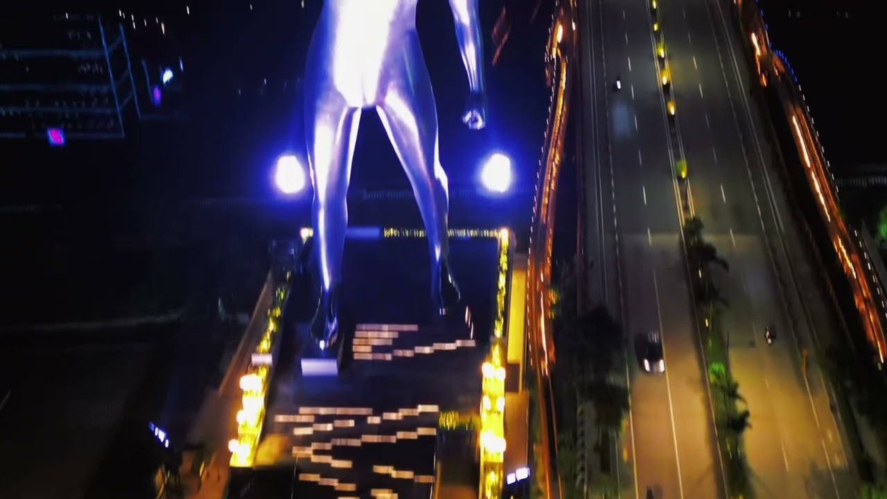 THE SUNFLOWER RESCUE