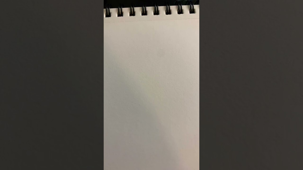 A 10 second artist challenge 🤣 attempt failed 