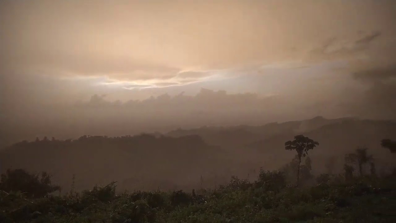 Into the cloud || Marayong tong || Wild Trekkers