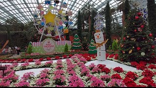 Next Premiere Intro Rhea Ping