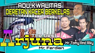 ADU KWALITAS KACER PAPAN ATAS||KACER ARJUNA JADI YANG TERBAIK