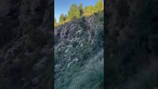 Tramuntana #baleares #puigtomir #mountainlovers