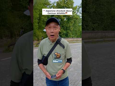 Have You Seen This Animal in Germany? 😳 #kosukevsgermany