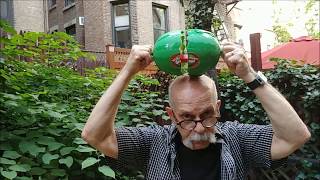 The Giz Wiz Tries The Watermelon Splash Game