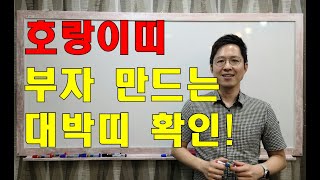 호랑이띠와 잘 맞는 좋은띠, 나쁜띠 궁합(호랑이띠 평생운세, 돈, 애정) #명리학#명리학강의#사주팔자#궁합#…