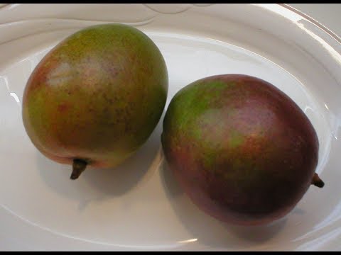 Video: Treba li mango držati u hladnjaku?