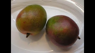 Mangos 101-How to Ripen and Store a Mango