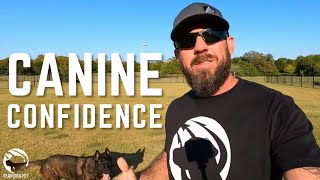 Trikos protection dog social confidence and daily routine