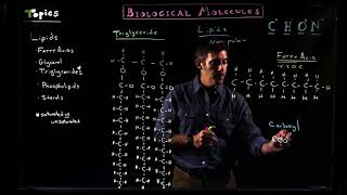 Lipids Part One