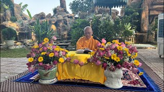 Thiền sư An Lạc Hạnh|”vấn đáp chiều”(08-02-2026/Bính ngọ)