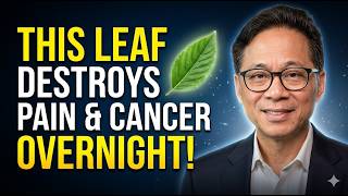 Put This Leaf in Hot Water and Drink It — Your Joints, Skin and Blood Sugar Will Thank You