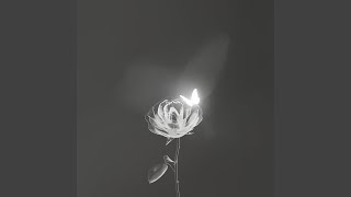 Peace Within