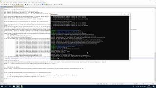 Issues when running custom code with openfoam and windows