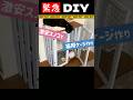 【緊急DIY】激安材料で猫用ケージ作り！新しい家族ができました！