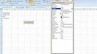 VBA Part 1: BMI Calculator screenshot 2