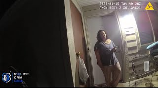 Entitled Wife Hits Husband Over A Game