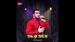 Talib Tale - Gozleyecem Resimi