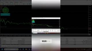 Próximo Cut Gain em Robô Trader Forex #shorts