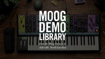 EP-3 Expression Pedal | Delay Time Trick