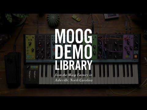 MOOG / MF Boost & EP-3 セット MOOG ( モーグ ) MF Boost 送料無料 | サウンドハウス