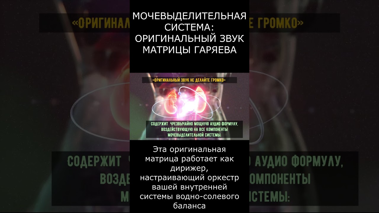 МОЧЕВЫДЕЛИТЕЛЬНАЯ СИСТЕМА