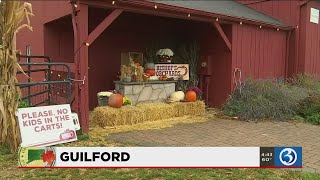 20 Towns: Picking pumpkins in Guilford