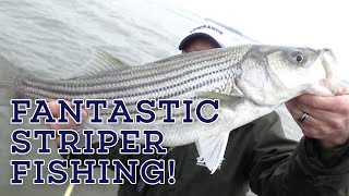 CRAZY DIVING BIRD ACTION! Let’s Fish #9 SouthEAST Lake Murray, South Carolina Striped Bass Fishing