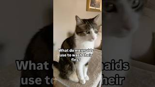 What do mermaids use to wash their fins? #dadhumor #catdadjokes #dadhumor Profile