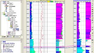 Petrel Schlumberge two curves in one track