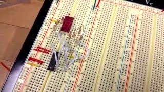 Display Driver (7447) Connected to Seven Segment Display