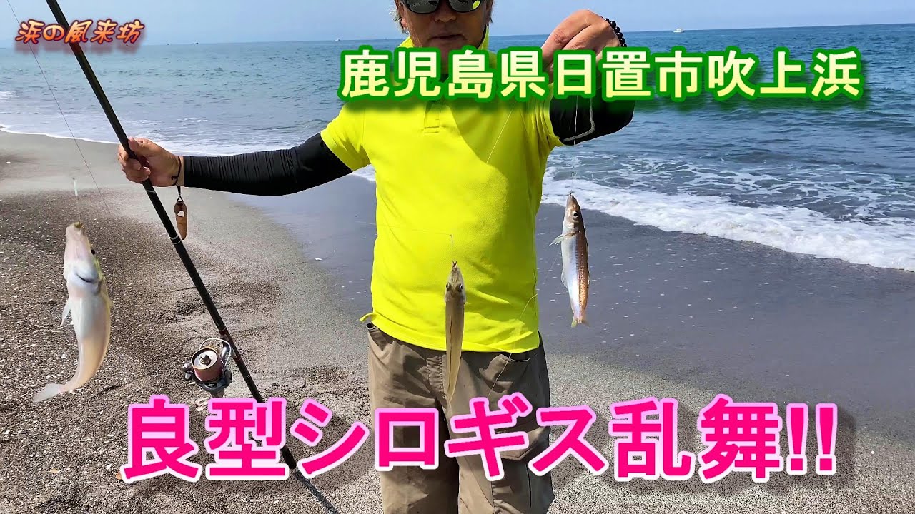 キス釣りと趣味の館 In かごしま キス釣りと趣味の館 In かごしま