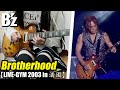 【B'z / Brotherhood】Guitar Cover (LIVE-GYM 2003 in 渚園Ver.)【Full】