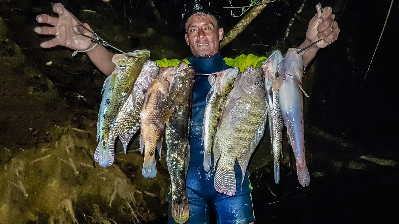 Una Buena Pesca Con Arpón Peces Grandes En El Río 