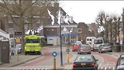 People in Dutch Town Rhenen Look Forward to Arrival of Chinese Giant Pandas