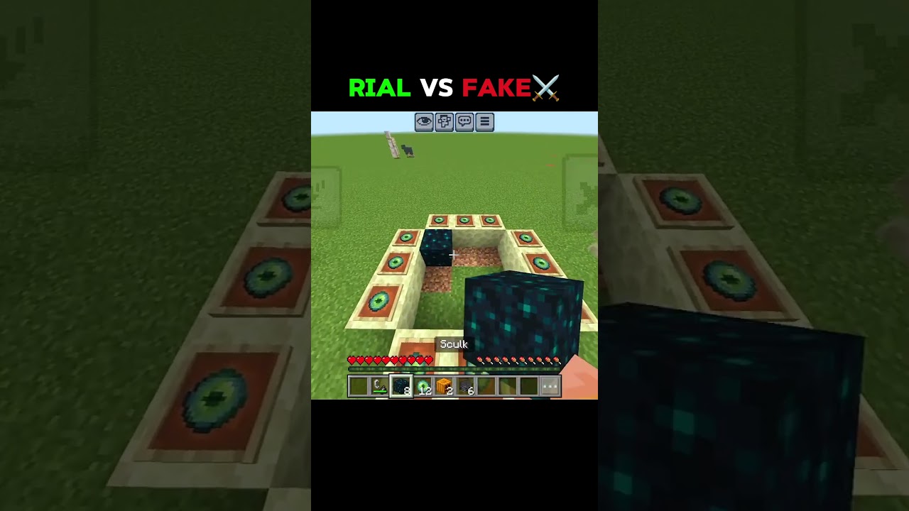 Rial vs Fake Minecraft Comparison ⚔️