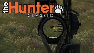 The Hunter Classic #32 - Die Truthahn Jagd - The Hunter screenshot 2