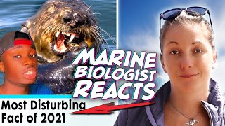Marine Biologist REACTS to Casual Geographic / The TRUTH About Sea Otters